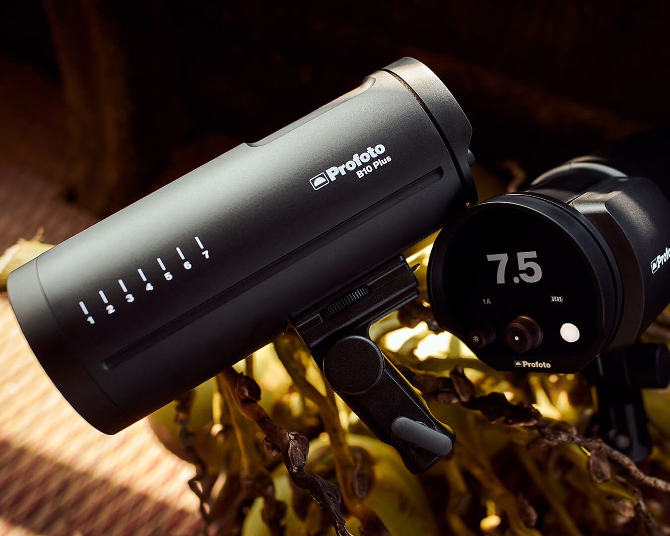 Profoto Ups Its Portable Lighting Game With the B10 Plus