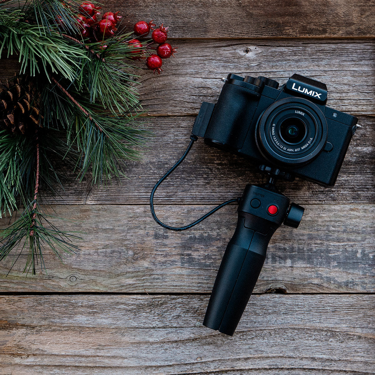 Panasonic Lumix G100 Mirrorless Camera With 12-32mm Lens Vlogging