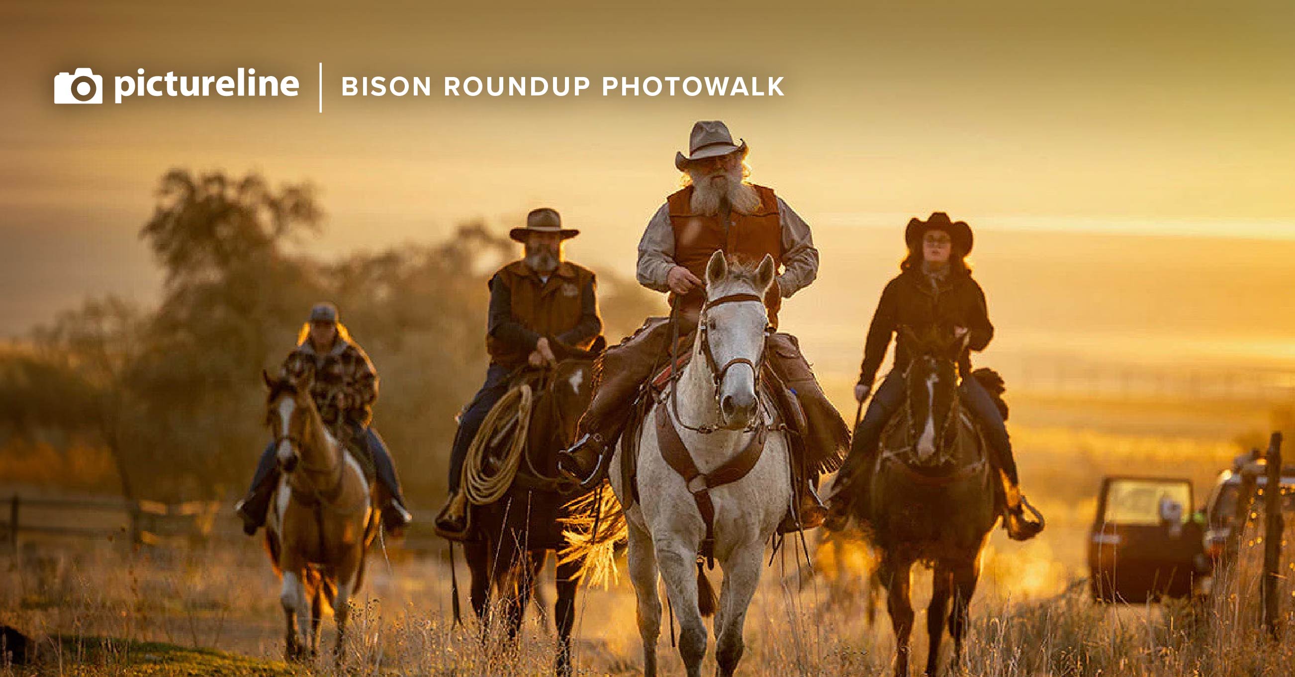 Bison Roundup at Antelope Island State Park - Oct 26th, 2024