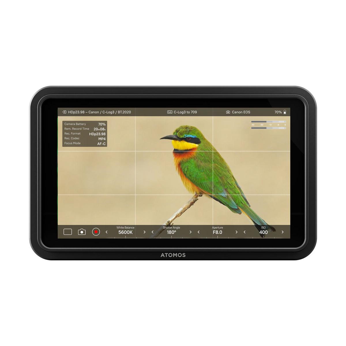 Atomos Shinobi II 5.2" HDMI HDR Monitor