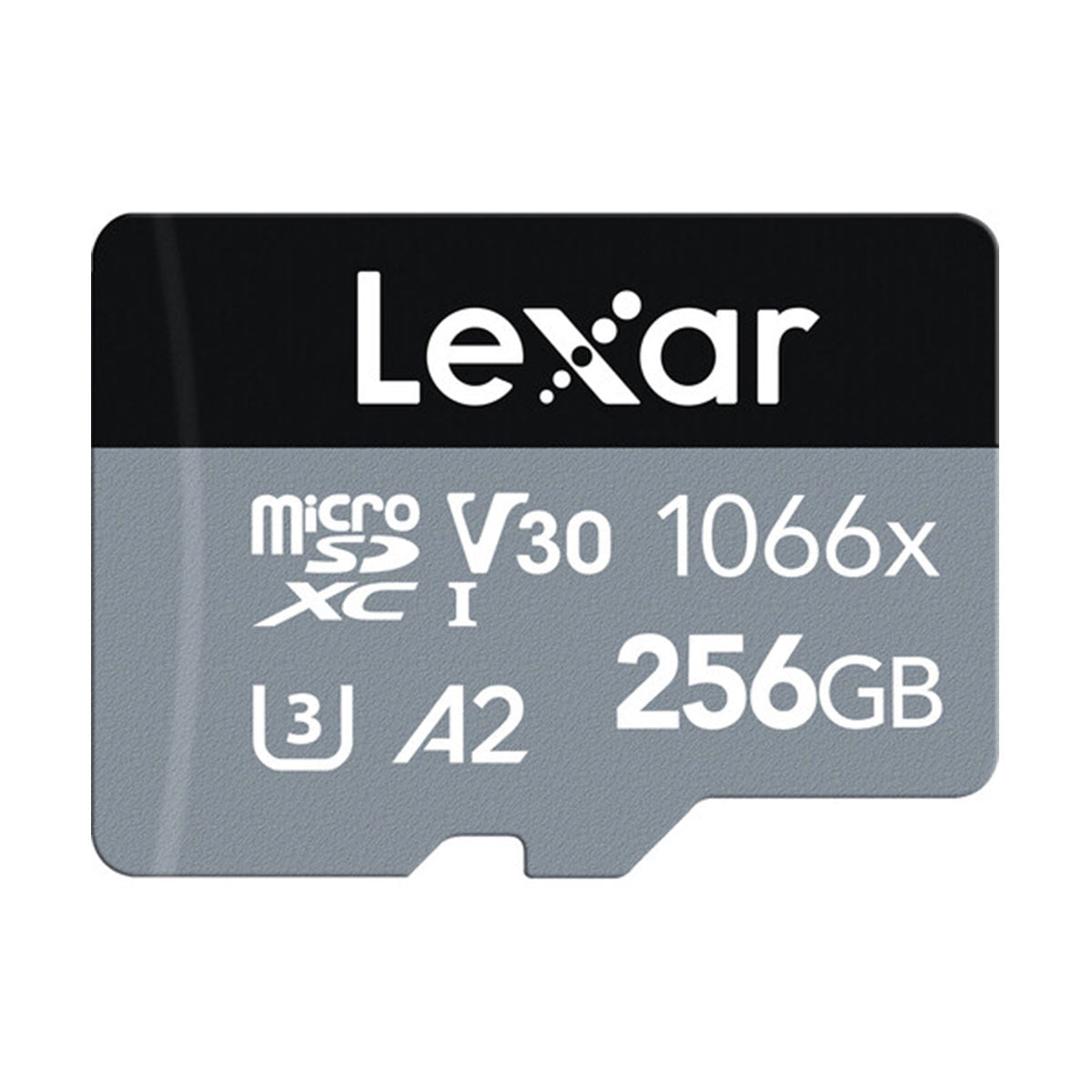 レキサー micro sd 256gb-