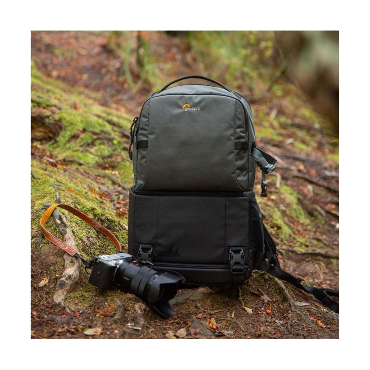 ソウルイーター』 Lowepro FastpackBP 250 AW III - バッグ