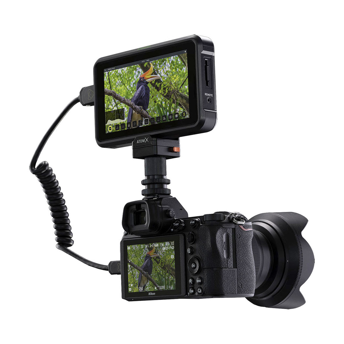 Atomos Shinobi 5.2” 4K HDMI Monitor