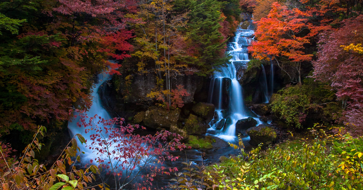 Japan Fall Foliage Tour (Saturday, Nov. 2–Thursday, Nov. 14, 2019)